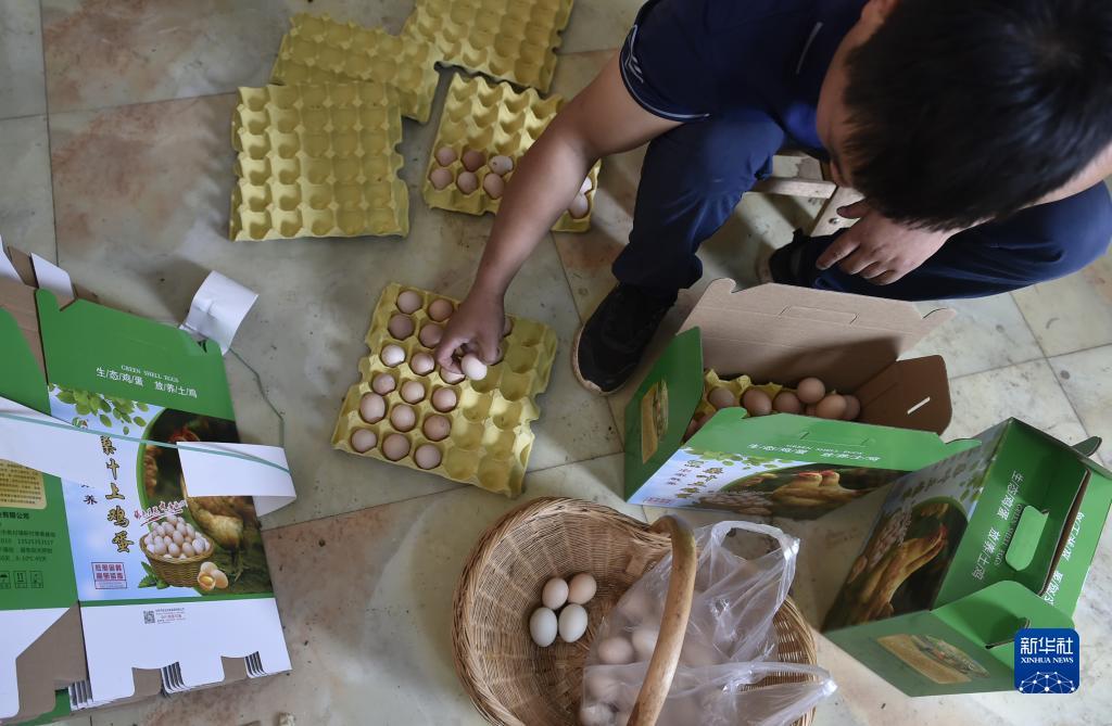 查澳门天天彩全年资料